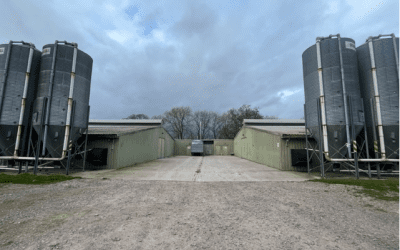 New farm purchase near Trowbridge